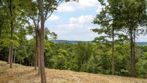 Lot 3 Cooks Landing Road