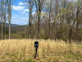 Lot 37 Eagle Ridge