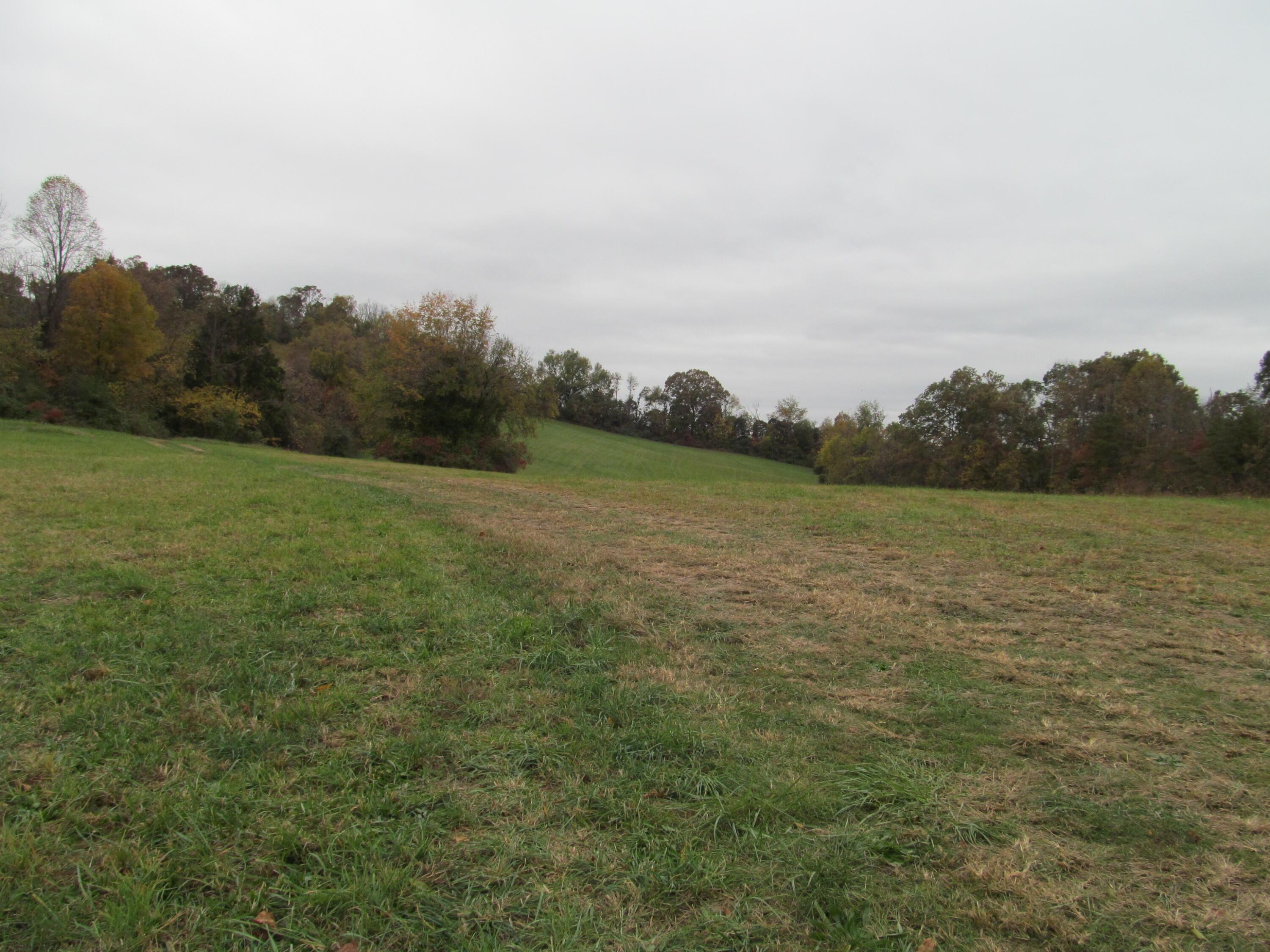 Image 2: IMG_0913