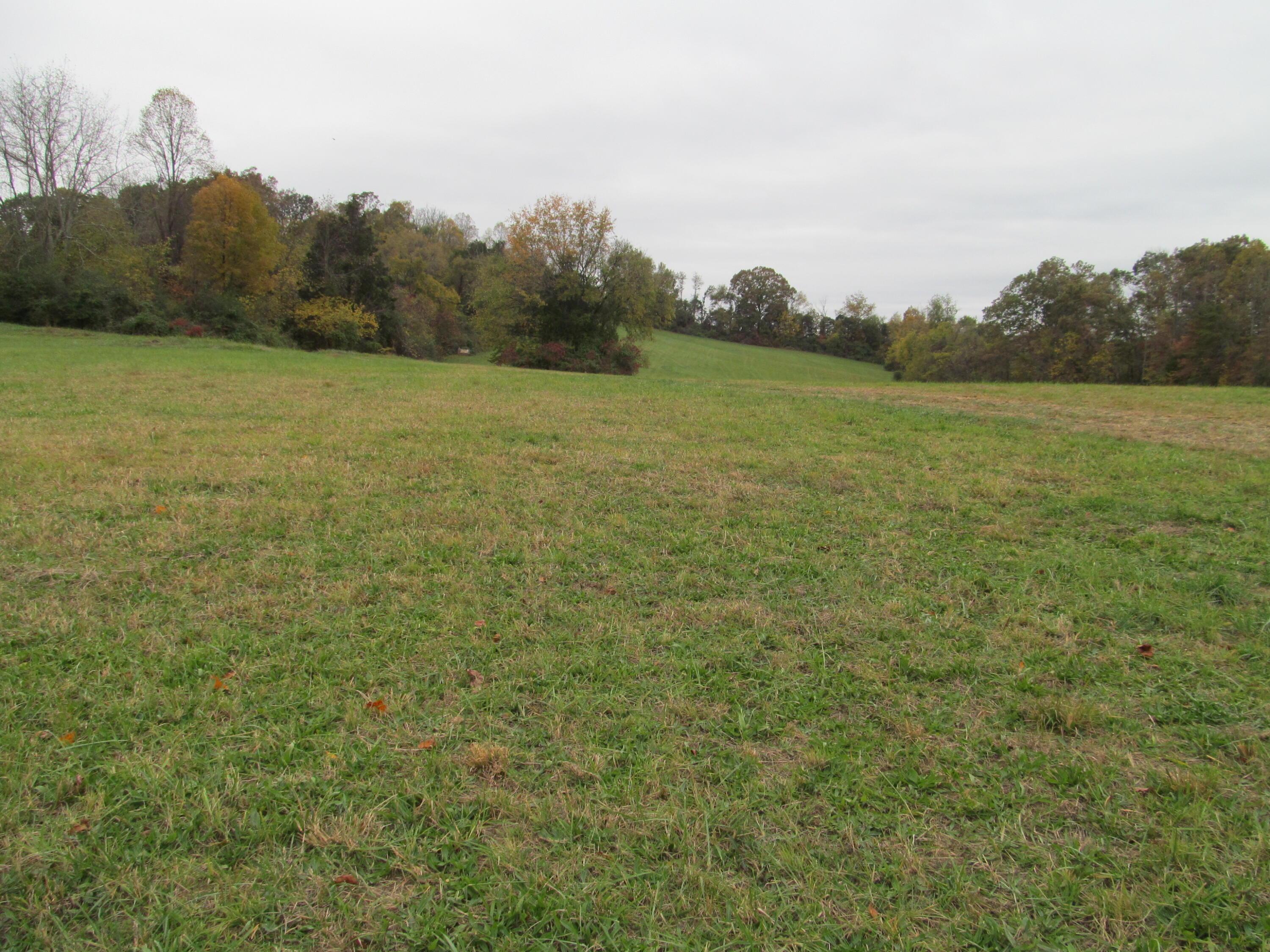 Image 3: IMG_0914