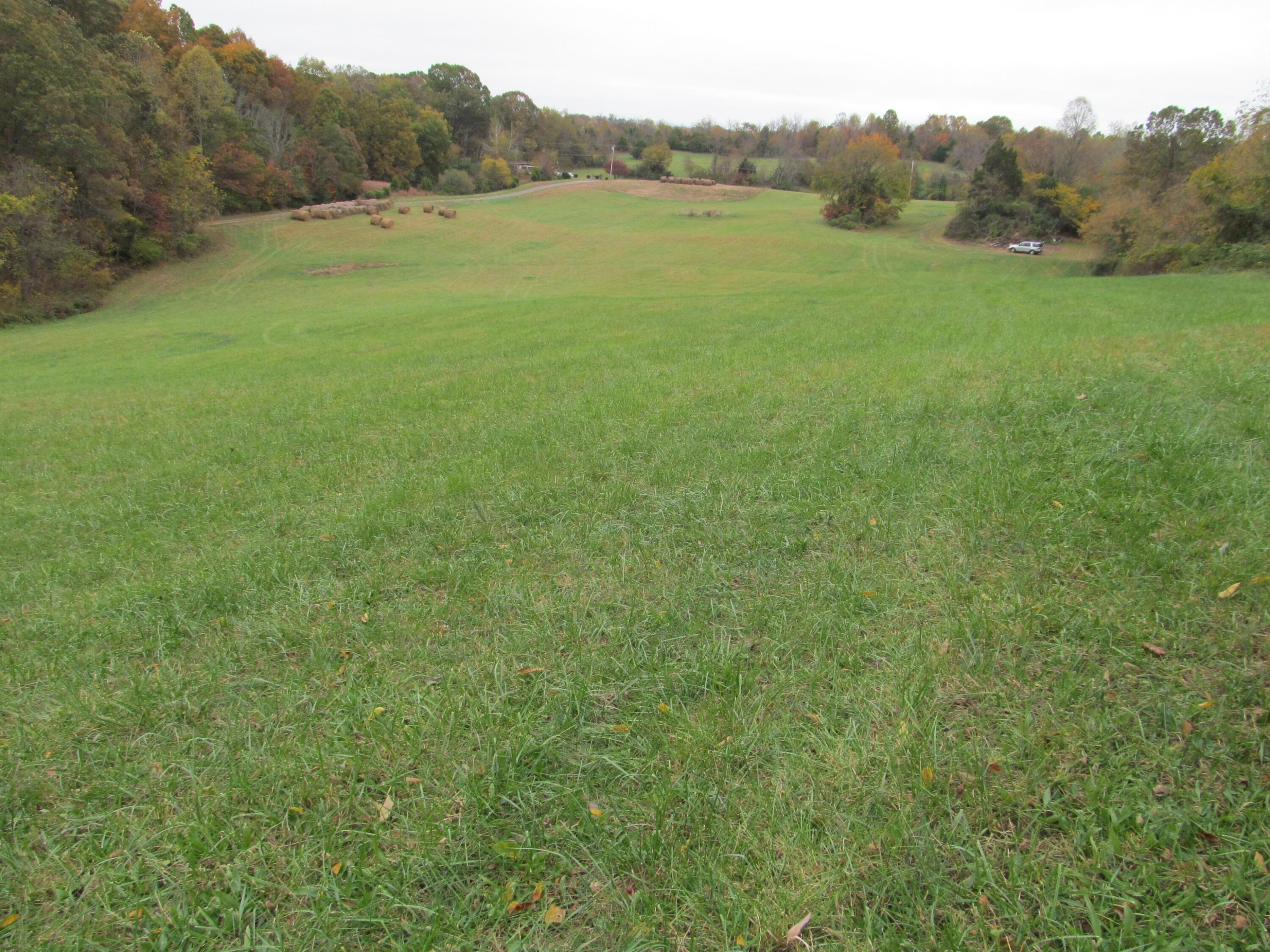 Image 4: IMG_0916