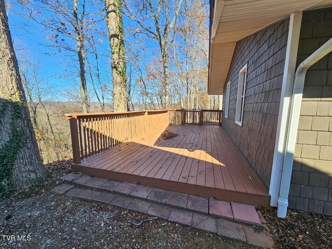 Image 2: thumbnail (1)