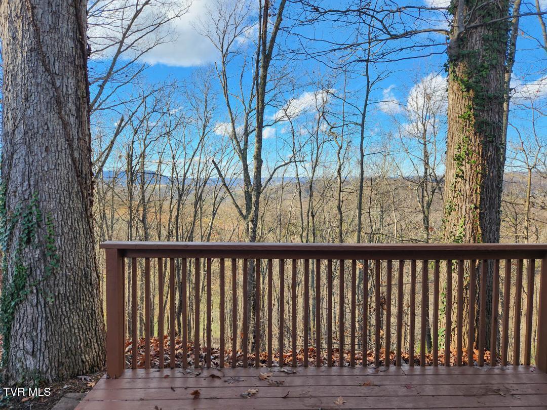 Image 3: thumbnail (4)