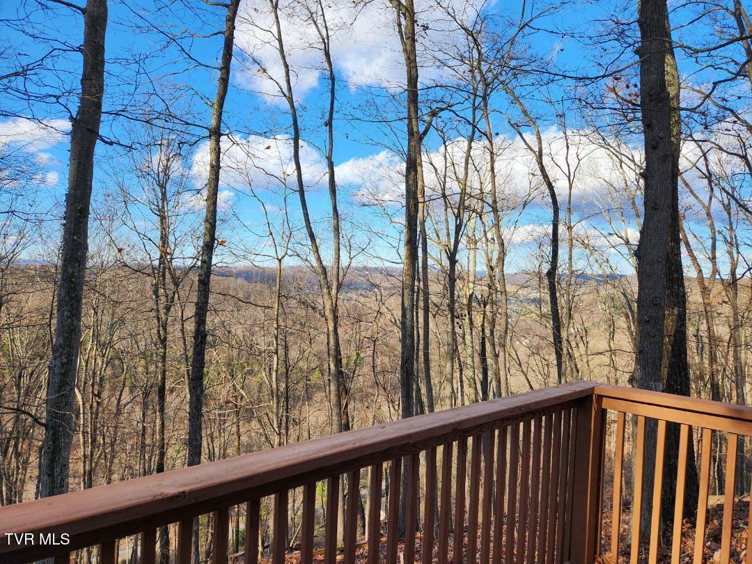 Image 4: thumbnail (5)