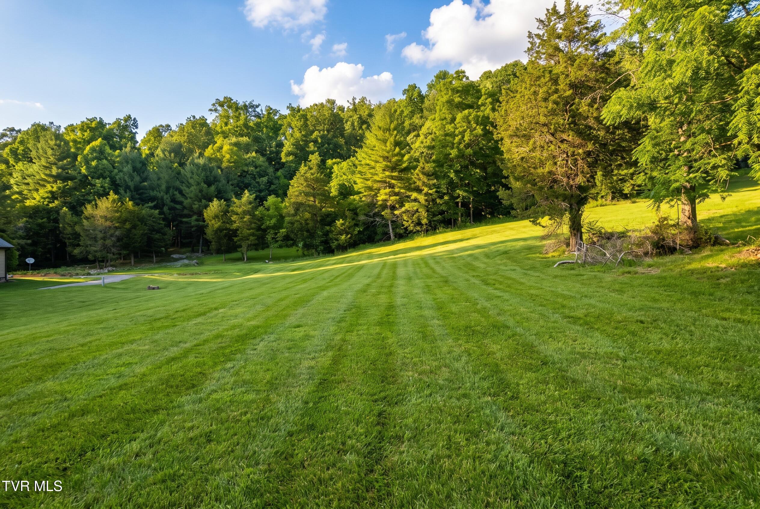 Image 2: lot18