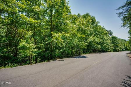 Lot 4 Walnut Bend Drive