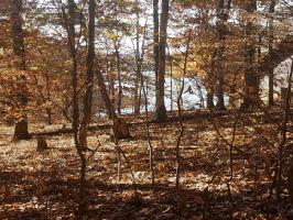 712 Muskogee Dr. E Lot 115