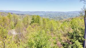 1209 Mays Ridge Road