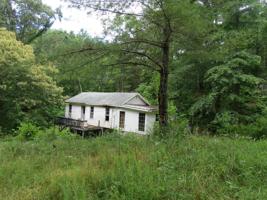 481 Wayne Laws Road