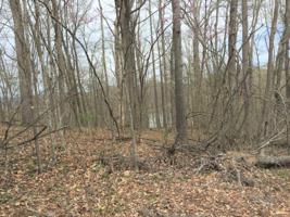 0 Horseshoe Bend Road