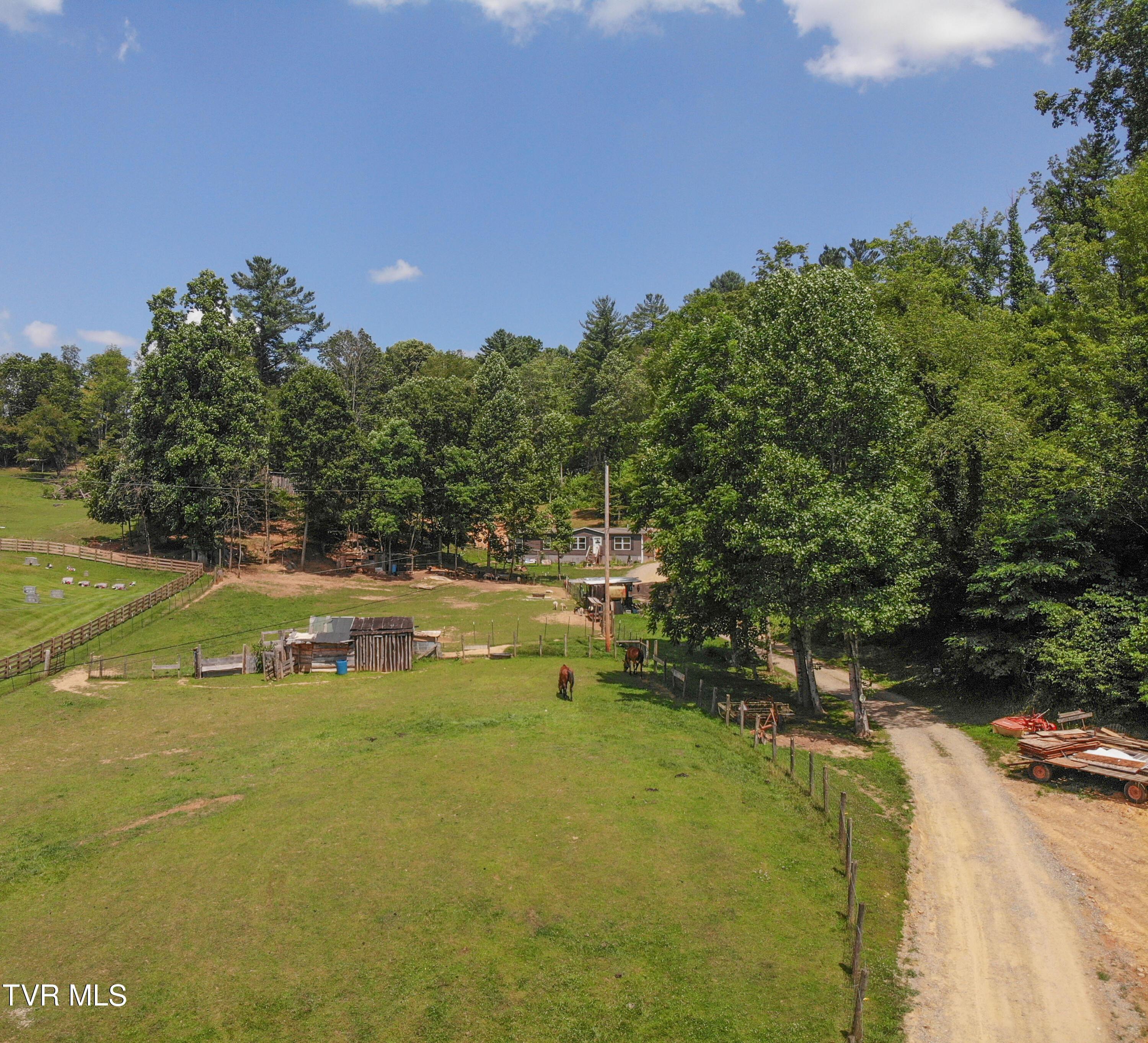 Image 3: Twin Oaks-41