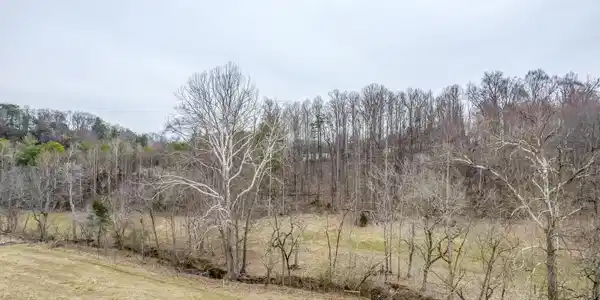 Image 4: Egypt Rd Creek