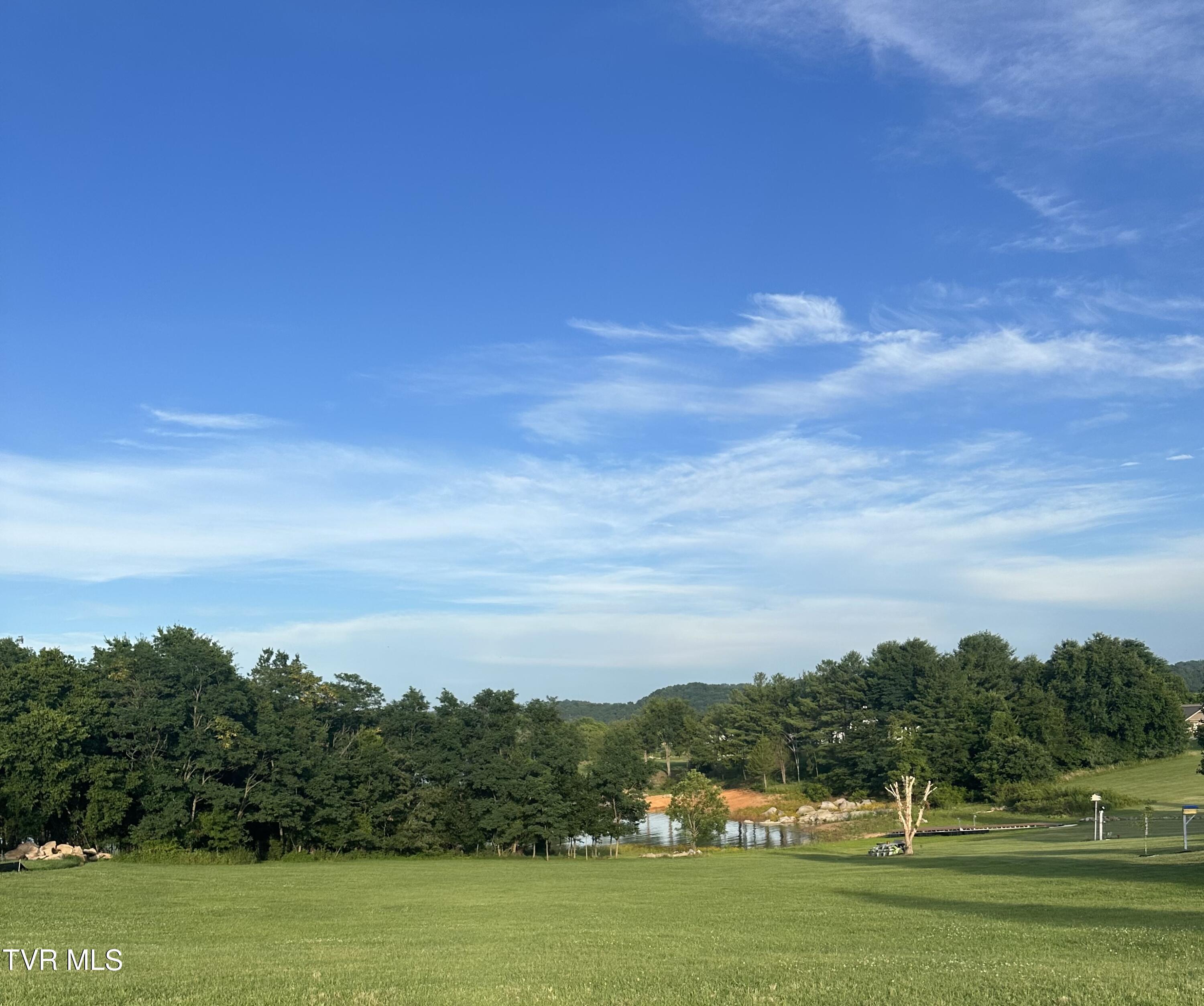Image 3: IMG_0386