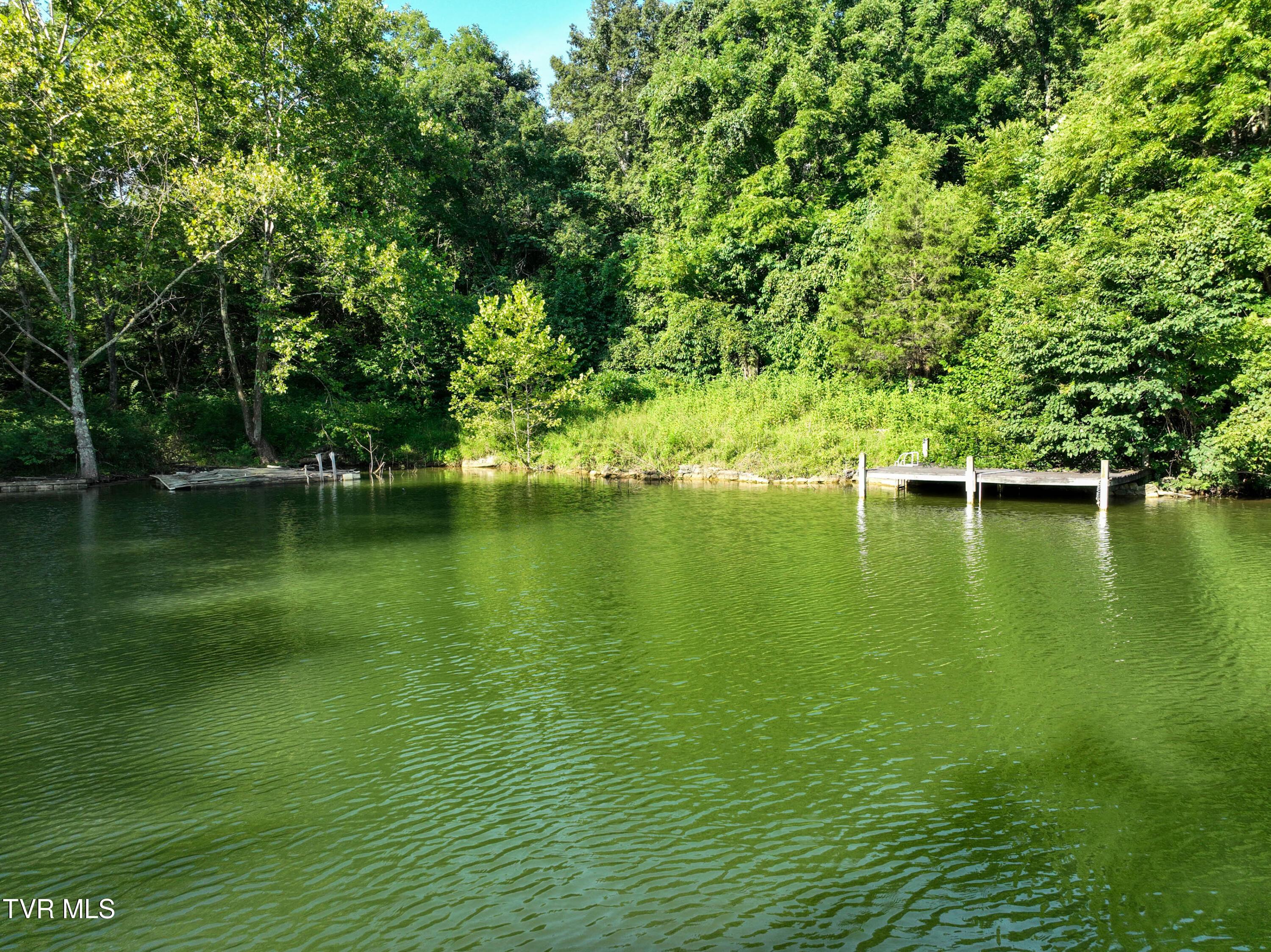 Image 3: Lake Dr Drone VAUGHN-9