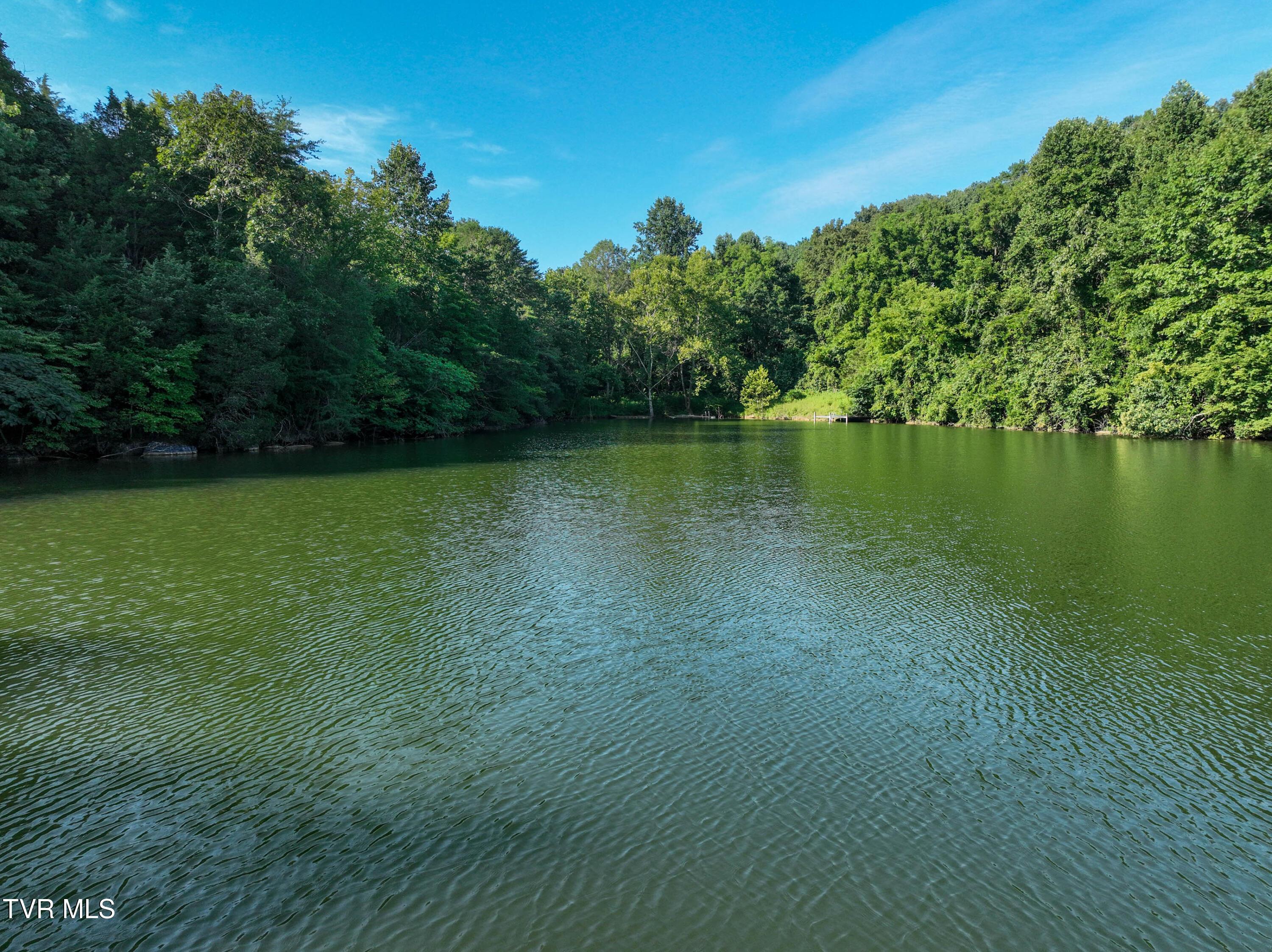 Image 4: Lake Dr Drone VAUGHN-8