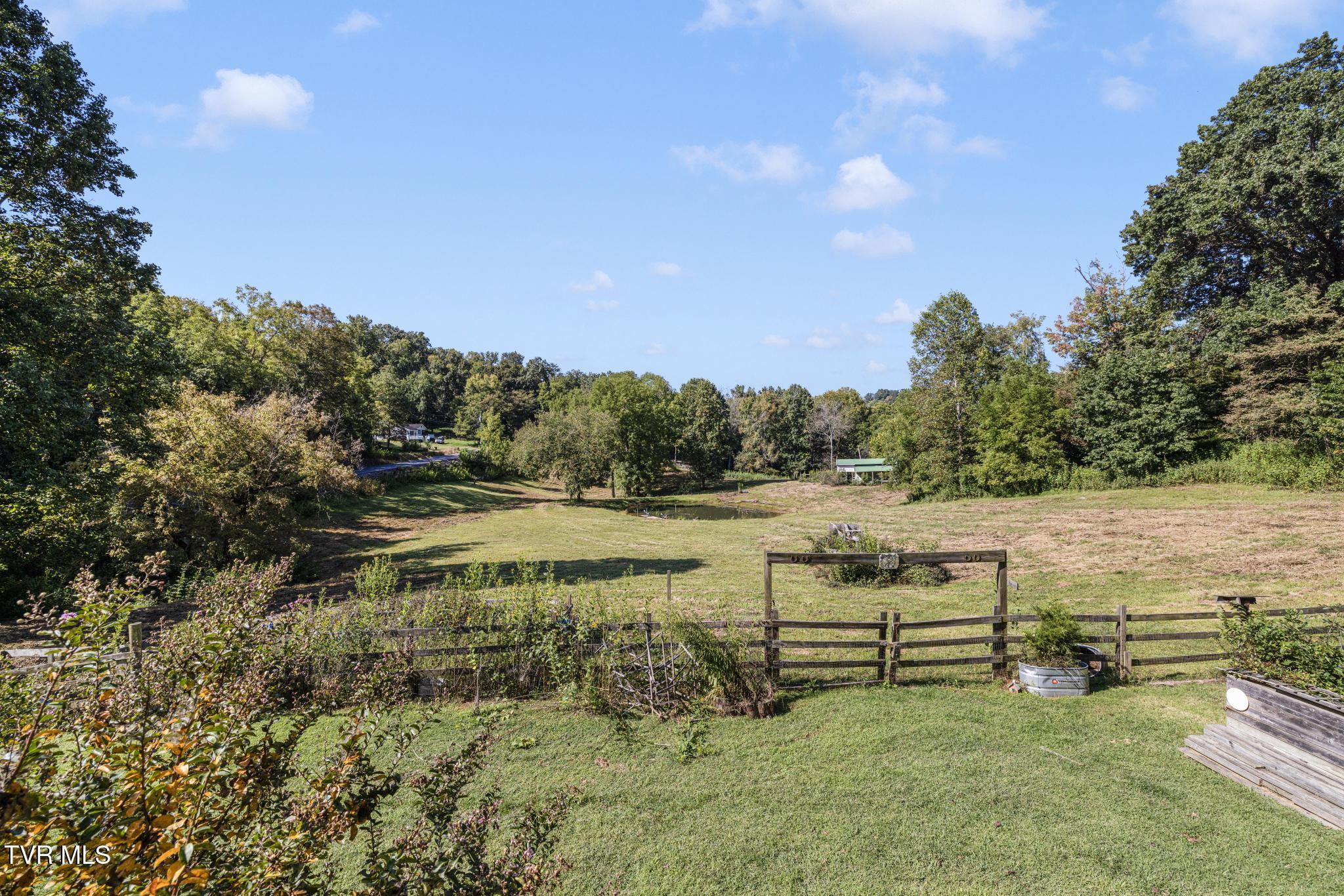 Image 4: 4+ Acre Pasture