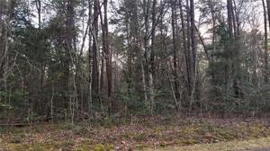 392 Pinecrest Circle