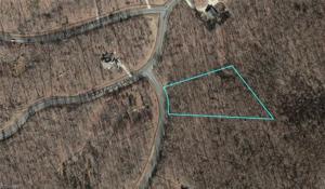 129 Pinnacle Trail