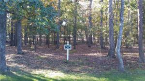 114 Candor Oaks