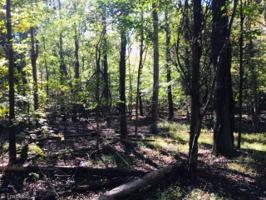 166 S Miners Trail Lot 0066