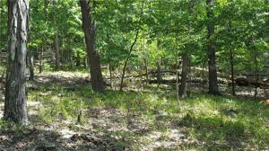 1301 Rocky Cove Lane
