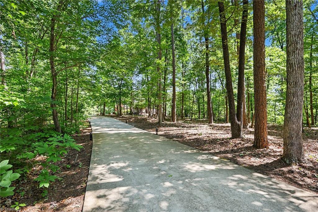 Image 2: Paved tree-line entryway