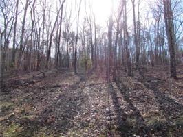 2011 Rocky Cove Lane Lot 27