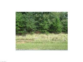 805 Sierra trace Road Lot 121