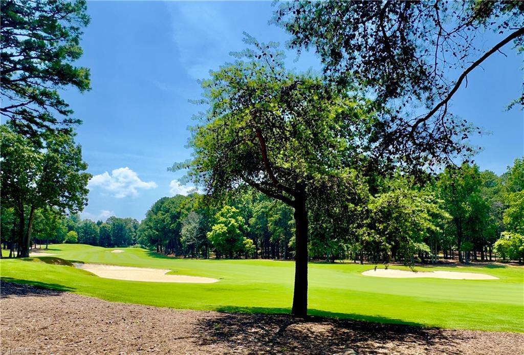 Image 2: View of Golf Course