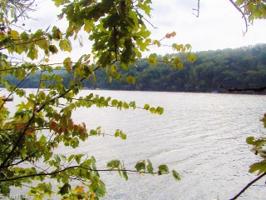 336 Harbor Drive E Lot 20