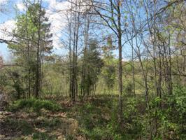 191 Cow Pasture Lane