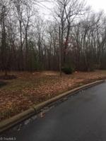 399 Healing Springs Drive