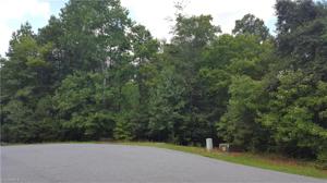 152 Mountain Ridge Drive Lot 0003