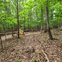0000 Lake Ridge Trail