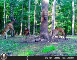 476 Beckner Road Lot 0003V