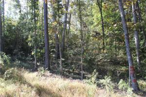 5816 Barbee Chapel Road