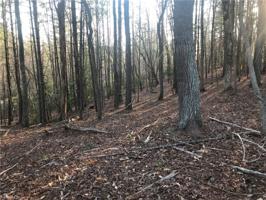 00 Jim Caudill Road Lot C