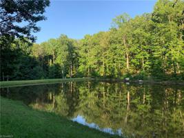 513 Healing Springs Drive