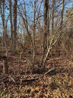 0 Oakwood Boulevard