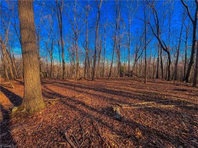 279 Palisade Trail