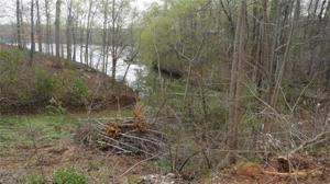 205 Lookout Point