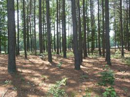 128 Yadkin Falls Road