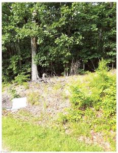 Lot #486 Skyline Drive
