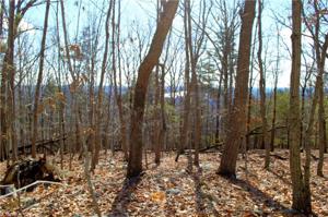 2390 Sierra Trace Road Lot 140