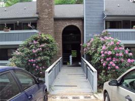 2877 Treestead Circle
