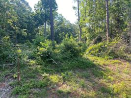 2555 & 2615 Beckner Road