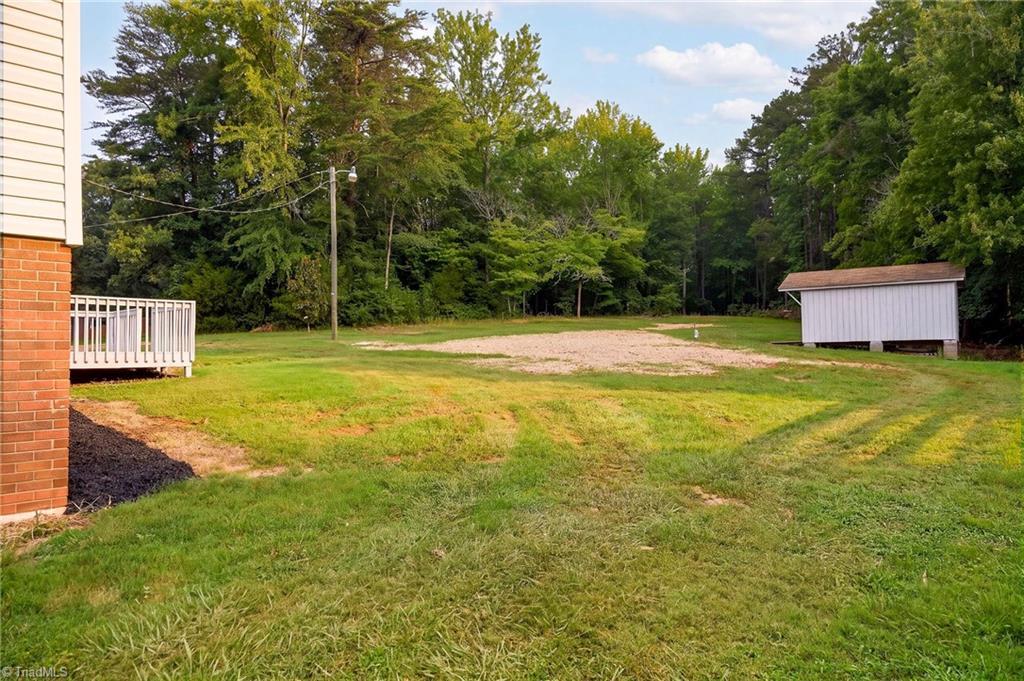 Image 3: Back yard