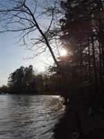 200 George Landing