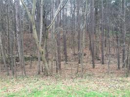 7000 Equestrian Trail Lot 58
