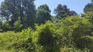 480 Avenue I Lot 0012